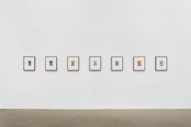 Gabriel Orozco, Diario de plantas, vue d'exposition, Galerie Chantal Crousel, Paris (2022). Courtoisie de l'artiste et de la Galerie Chantal Crousel, Paris. Photo : Martin Argyroglo
