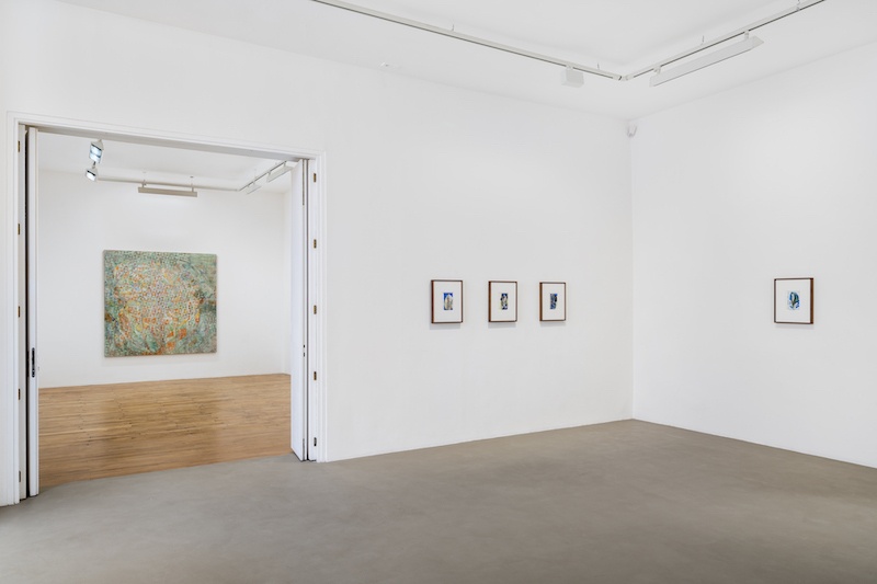 Gabriel Orozco, Diario de plantas, vue d'exposition, Galerie Chantal Crousel, Paris (2022). Courtoisie de l'artiste et de la Galerie Chantal Crousel, Paris. Photo : Martin Argyroglo
