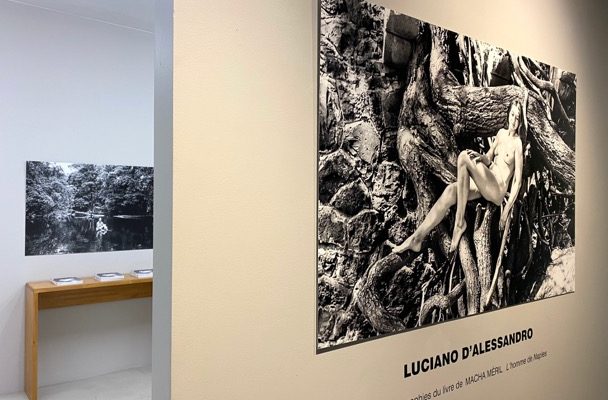 LUCIANO D’ALESSANDRO