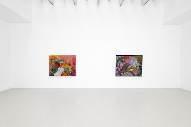 Vue d'exposition Philemona Williamson, The Borders of Innocence, Semiose, Paris - Photos A. Mole. Courtesy Semiose, Paris
