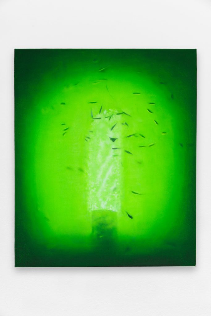 Ánima Correa, Bottomfeeder (Piriwiri), 2024, peinture à l’huile sur lin / oil on linen, 61 x 51 cm. Courtesy the artist. Photo © Aurélien Mole
