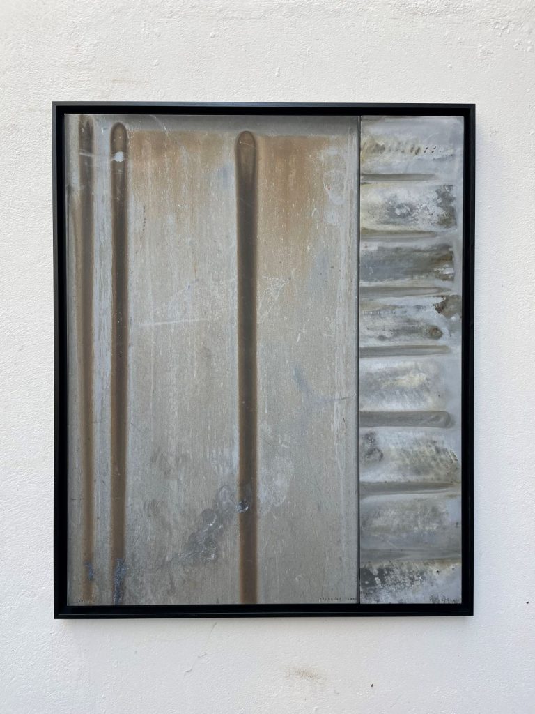 Jérémy Vatutin,Diptyque de vieux zinc